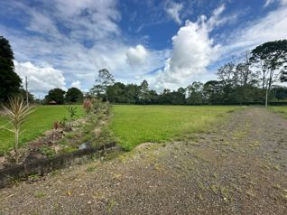 Venta de Quintas en Sarapiquí in Las Horquetas, Sarapiquí, Heredia — 140 000 000 ₡ - Photo 4 of 10
