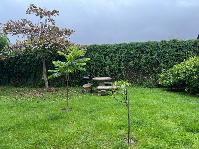 Terreno listo para construir en Residencial el Sesteo San Ramón en San Ramón, Alajuela — $90,000 - Foto 2 de 12