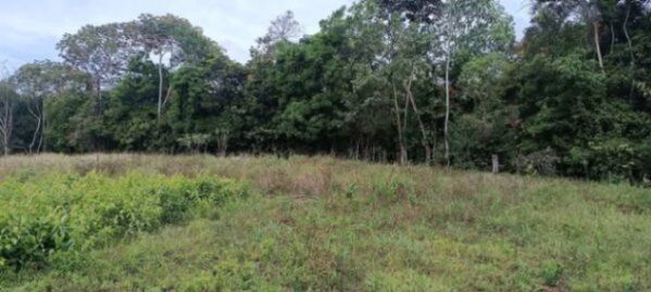 ESPECTACULAR PROPIEDAD EN VILLA NUEVA DE PÉREZ ZELEDÓN.  in El General, Pérez Zeledón, San José — ₡ 59 000 000