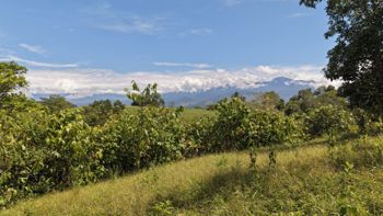 SE VENDE TERRENO LISTO PARA CONSTRUIR EN ZONA TRANQUILA Y DE CLIMA FRESCO en Cajón, Pérez Zeledón, San José — 16 000 000 ₡ - Foto 2 de 11