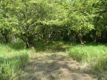 LOTE EN VENTA EN JACÓ PUNTARENAS in Jacó, Garabito, Puntarenas — $1,050,000 - Photo 5 of 6