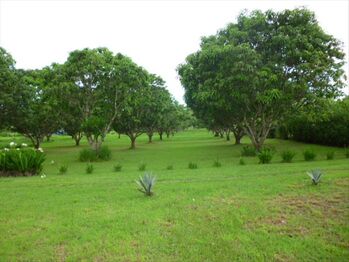 Land For Sale La Ceiba, Orotina, Alajuela