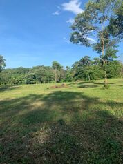 Ventas de lotes Santa Rosa Guanacaste  en Tamarindo, Santa Cruz, Guanacaste — 30 000 000 ₡ - Foto 4 de 9