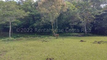 Venta de Extenso Terreno en San Jerónimo, Moravia / JB OFC Mls. 24-1860 in San Jerónimo, Moravia, San José — $1,500,000 - Photo 5 of 12