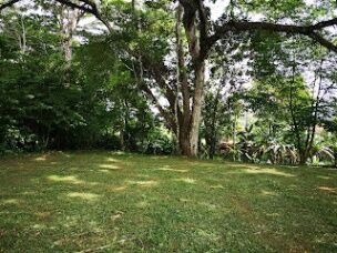 Land For Sale Florencia, San Carlos, Alajuela