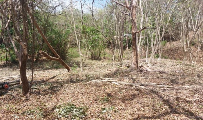 Lote en Playa Garza, Nosara Guanacaste en Nosara, Nicoya, Guanacaste — $450,000