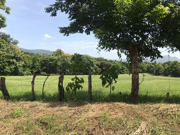 VENTA DE LOTES, GUANACASTE, NICOYA, BARRA HONDA in Nicoya, Guanacaste — ₡ 40 000 000
