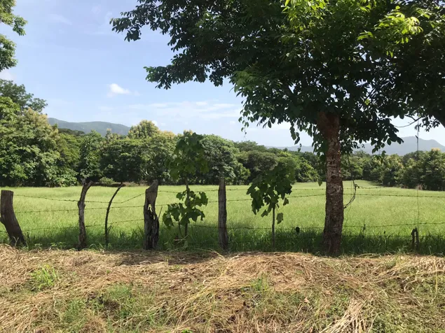 VENTA DE LOTES, GUANACASTE, NICOYA, BARRA HONDA en Nicoya, Guanacaste — ₡ 40 000 000 - Foto 2 de 9