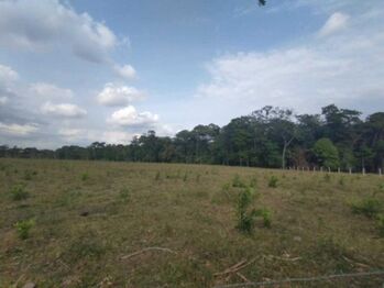 MLS-25-1083 VENTA LOTE FLORENCIA SAN CARLOS en Florencia, San Carlos, Alajuela — 175 000 000 ₡ - Foto 5 de 5