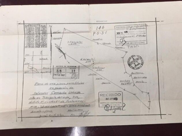 SE VENDE BELLA FINCA EN SIERPE DE OSA.  en Sierpe, Osa, Puntarenas — ₡ 70 000 000