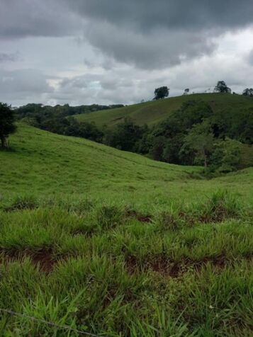 ESPECIAL FINCA GANADERA EN TURRUBARES, SAN JOSÉ.  en Carara, Turrubares, San José — $1,000,000