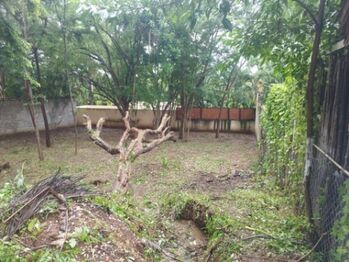 Venta de Lote en Santa Cruz, Guanacaste. RAH 25-170 in Tamarindo, Santa Cruz, Guanacaste — $199,000 - Photo 4 of 6