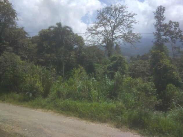 Ideal para un proyecto de conservación o turismo  en Pejibaye, Jiménez, Cartago — ₡ 25 000 000