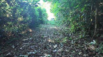 LOTE EN PEÑAS BLANCAS, PÉREZ ZELEDÓNNATURALEZA Y PRIVACIDAD en San Isidro De El General, Pérez Zeledón, San José — $115,000 - Foto 5 de 9