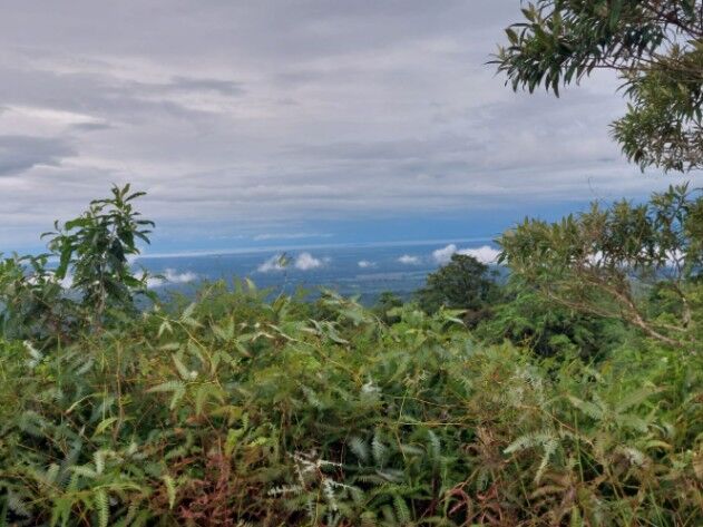 SE VENDE ESPECTACULAR FINCA EN LAS ARMENIAS DE UPALA.  en Upala, Alajuela — ₡ 207 000 000