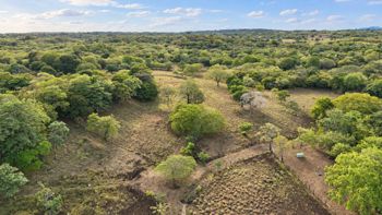 Finca 40 hectáreas con pozo -potencial de desarrollo en Papagayo en Bejuco, Nandayure, Guanacaste — $5,900,000 - Foto 5 de 13
