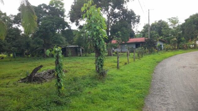SE VENDE BELLA PROPIEDAD EN PÉREZ ZELEDÓN.  in Platanares, Pérez Zeledón, San José — ₡ 25 000 000