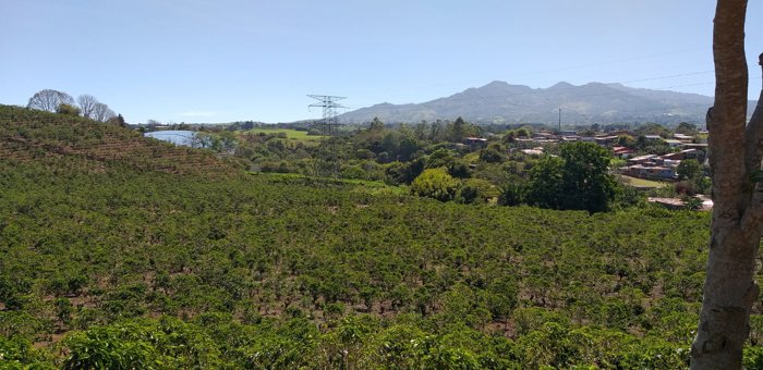 Lote en Venta, Uso Residencial, Clima de Montaña, 5PJG10035484 in San Jerónimo, Moravia, San José — $2,790,360 - Photo 3 of 25