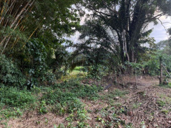 ¡VENTA DE LOTE EN PÉREZ ZELEDÓN! in San Isidro De El General, Pérez Zeledón, San José — ₡ 11 500 000
