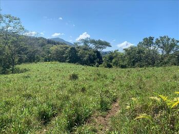 Farm For Rent Carmona, Nandayure, Guanacaste