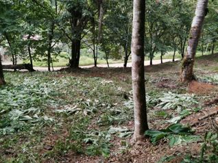 Jardines del Morete en Bahía Ballena, Osa, Puntarenas — $450,000 - Foto 4 de 10