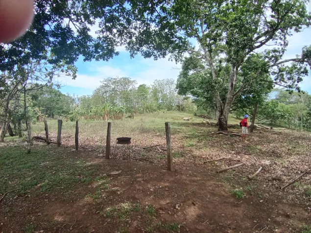 FINCA EN VENTA CON NACIENTE DE AGUA PROPIA Y DOBLE ACCESO COMERCIAL EN CHOMES, PUNTARENAS in Chomes, Puntarenas — ₡ 432 000 000