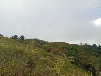 Finca Ganadera y Cafetalera con Potencial Turístico en San Marcos de Tarrazú in San Marcos, Tarrazú, San José — $600,000 - Photo 5 of 27