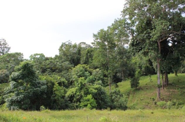 SE VENDE PRECIOSA FINCA EN PURISCAL, SAN JOSÉ.  in Chires, Puriscal, San José — $630,000