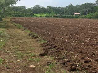 Excelente Terreno en La Fortuna en La Fortuna, San Carlos, Alajuela — 80 000 000 ₡ - Foto 2 de 8
