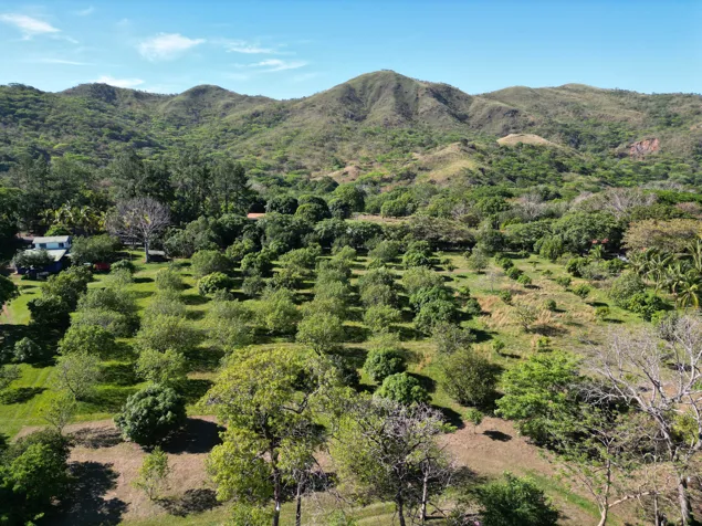 Farm for sale in Turrubares – Agricultural Production, Houses and Pool in San Pedro, Turrubares, San José — $1,000,000 - Photo 2 of 26