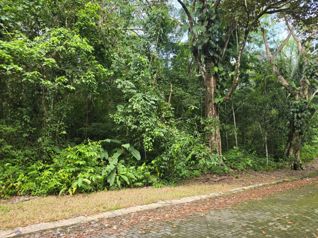 Land For Sale In Costa Esterillos Estates - Photo 2 of 3