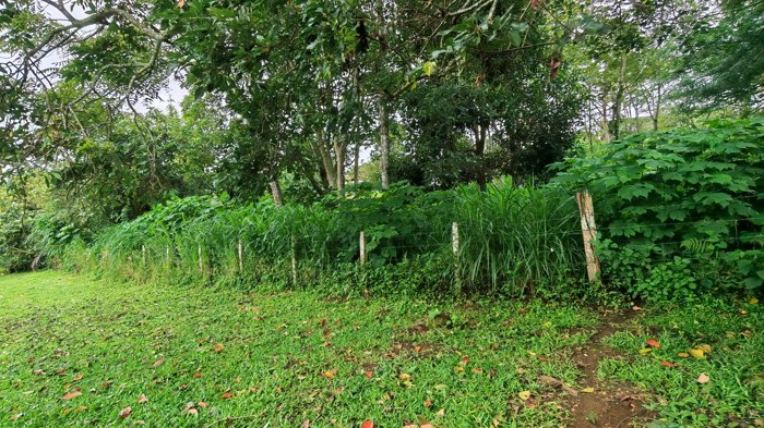 Lote en Venta, en Montes de Oca, San Rafael,Desarrollo,Cuatro Pisos. en San Rafael, Montes De Oca, San José — $2,022,240