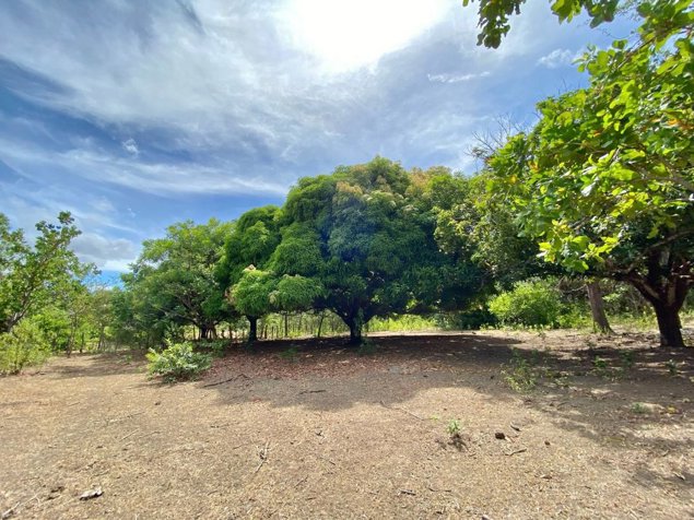 FINCA EN VENTA LIBERIA  GUANACASTE in Liberia, Guanacaste — $2,500,000