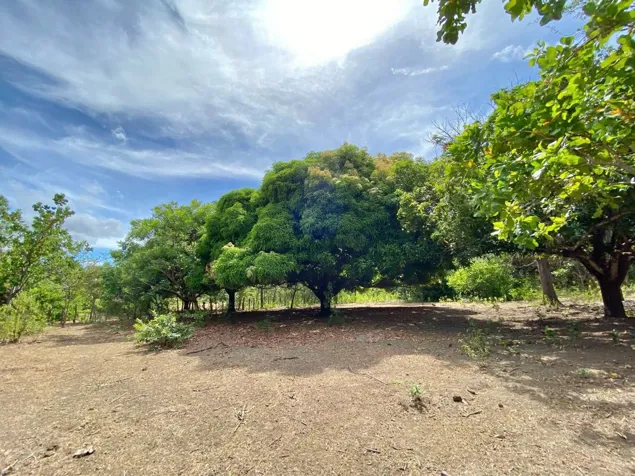 FARM FOR SALE LIBERIA GUANACASTE in Liberia, Guanacaste — $2,500,000