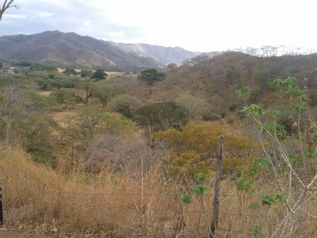 VENTA DE LOTE, GUANACASTE, TAMARINDO en Tamarindo, Santa Cruz, Guanacaste — $180,000 - Foto 5 de 12