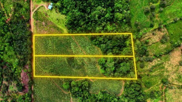 SE VENDE FINCA DE CAÑA CON VISTAS PANORAMICAS Y AGUA PROPIA en El General, Pérez Zeledón, San José — $236,979