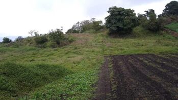 Venta de Lote en Oreamuno-Cartago. RAH 26-480 en Cot, Oreamuno, Cartago — $63,000 - Foto 5 de 12
