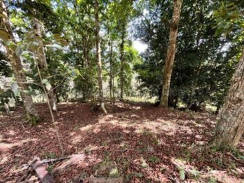 Venta de Lote en El Guarco-San Isidro. RAH 26-1829 PRECIO REBAJADO en San Isidro, El Guarco, Cartago — 100 000 000 ₡ - Foto 4 de 6