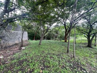 Terreno Exclusivo de 650m2 en Venta en Santa Ana en Piedades, Santa Ana, San José — $169,000 - Foto 5 de 6