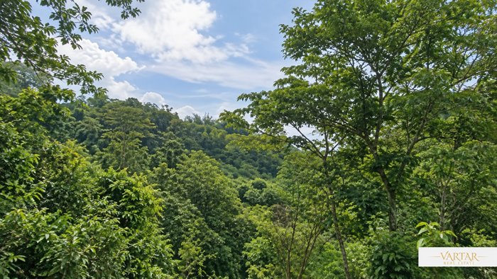 Oportunidad en Hojancha Guanacaste  Lote de 2,030 m² en Huacas, Hojancha, Guanacaste — ₡ 22 000 000 - Foto 2 de 15