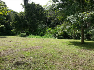 SE VENDE TERRENO EN QUEBRADA GANADO, PUNTARENAS en Jacó, Garabito, Puntarenas — $140,000 - Foto 3 de 16