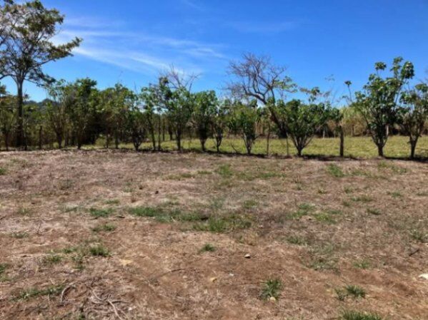 SE VENDEN 3 BELLOS LOTES EN ATENAS.  en San José, Atenas, Alajuela — ₡ 75 000