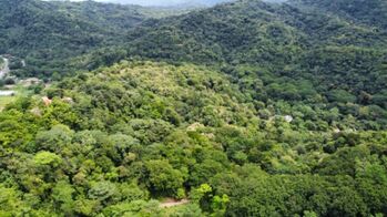 SE VENDE: 36,104 M² EN CORONADO DE OSA en Quepos, Puntarenas — $649,872 - Foto 5 de 10