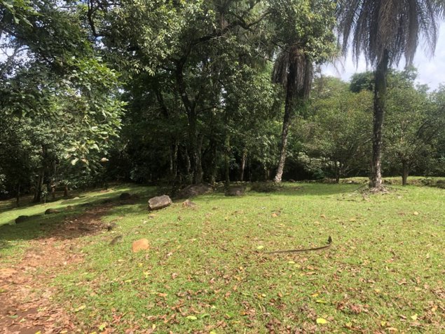 SE VENDE TERRENO EN OROTINA ACSESO A RÍO MACHUCA in Orotina, Alajuela — $580,000 - Photo 2 of 30