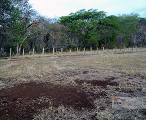 Lote en Guanacaste - Playas del Coco  -  (LP1)