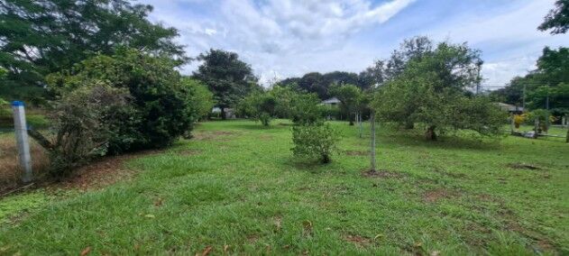 LOTE EN OROTINA PARA QUINTA in Orotina, Alajuela — ₡ 50 000 000