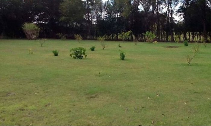 VENTA DE LOTE USO MIXTO, HEREDIA, SAN RAFAEL, CONCEPCION in Concepción, San Rafael, Heredia — $450,000