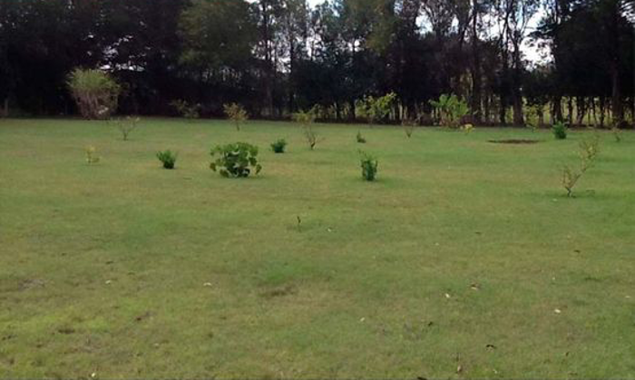 MIXED-USE LOT FOR SALE, HEREDIA, SAN RAFAEL, CONCEPCION in Concepción, San Rafael, Heredia — $450,000 - Photo 2 of 8