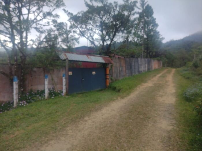 BELLA PROPIEDAD CON 2 CASAS EN SAN RAMÓN.  en Piedades Norte, San Ramón, Alajuela — ₡ 60 000 000