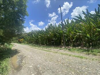 Farm For Sale Rita, Pococí, Limón